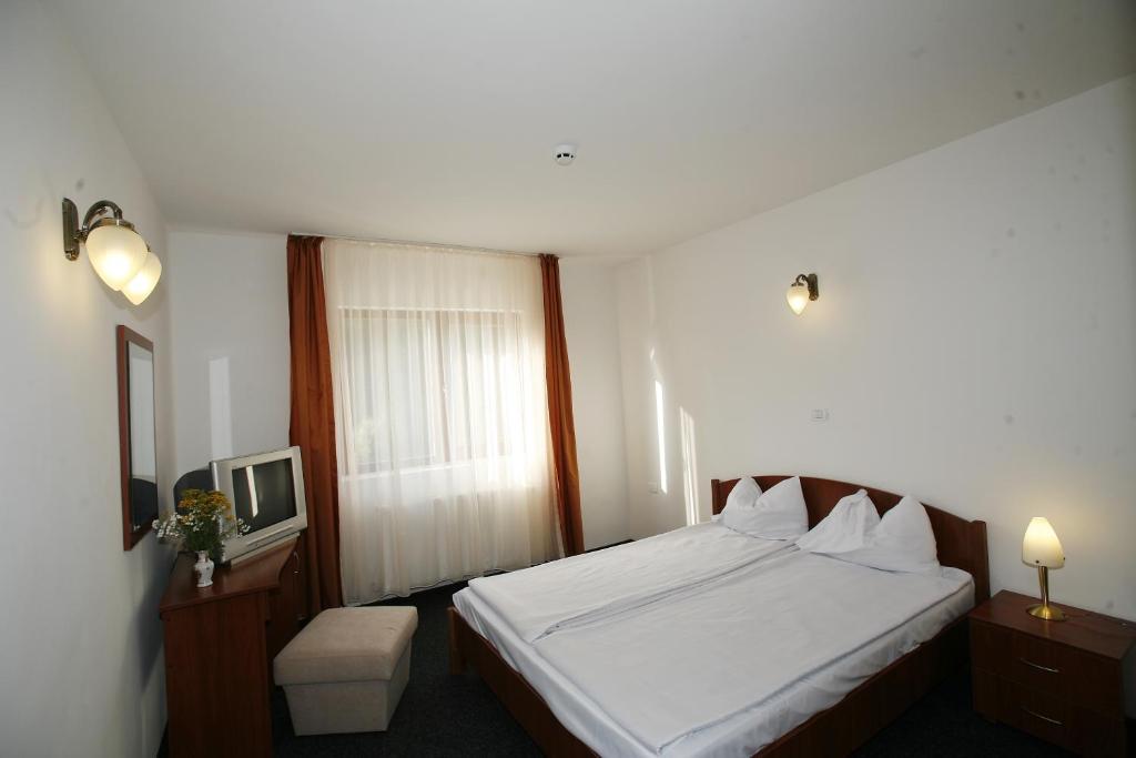 Hotel Paltinis Statiunea Rum bild
